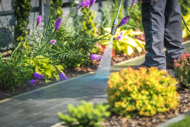 Best Sidewalk and Walkway Cleaning  in Annandale, MN
