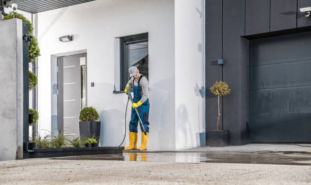 Best Boat and Dock Cleaning  in Annandale, MN